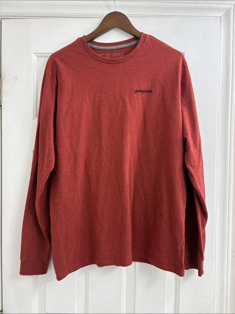 Patagonia Long-Sleeve Crewneck Tee